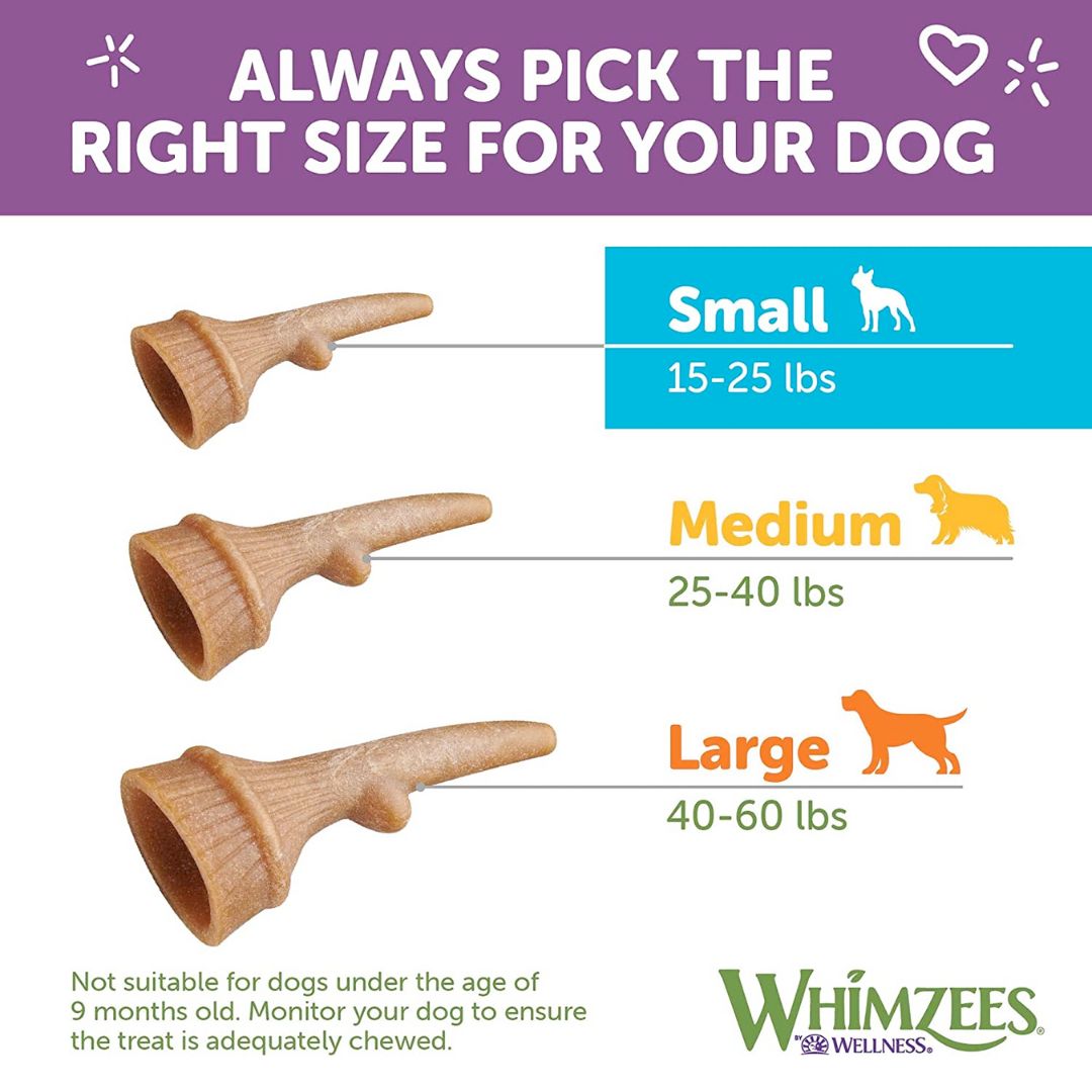 WHIMZEES Occupy Antler Natural Dental Chews for Dogs - Large (6pc)