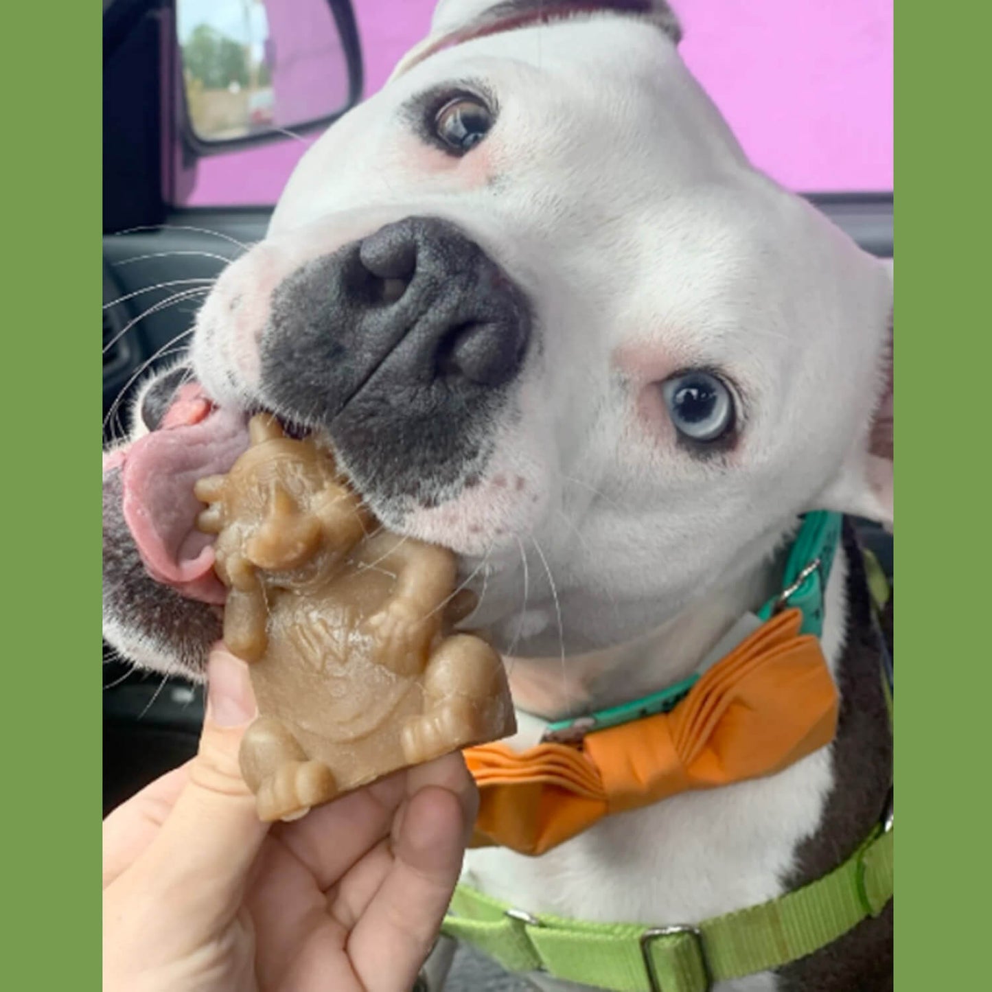 Whimzees Hedgehog Dental Dog Treats - Large (6pcs)