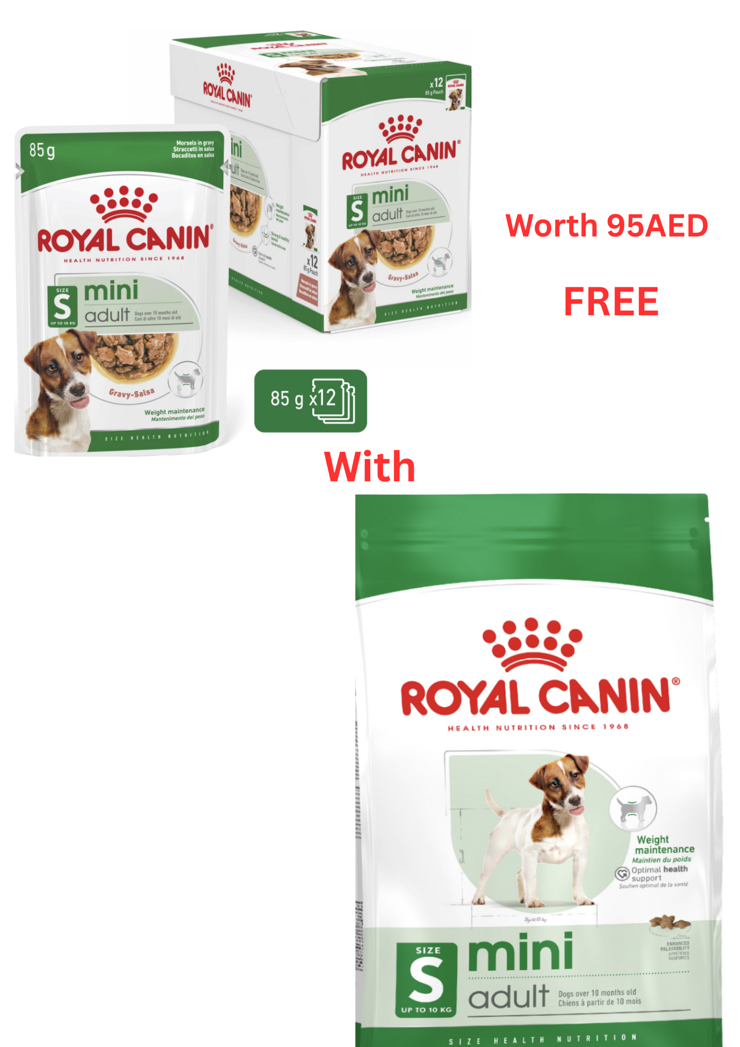 Buy Royal Canin Size Health Nutrition Mini Adult 2 kg and Get FREE Royal Canin Size Health Nutrition Mini Adult (Wet Food - Pouches) 6 x 85 g