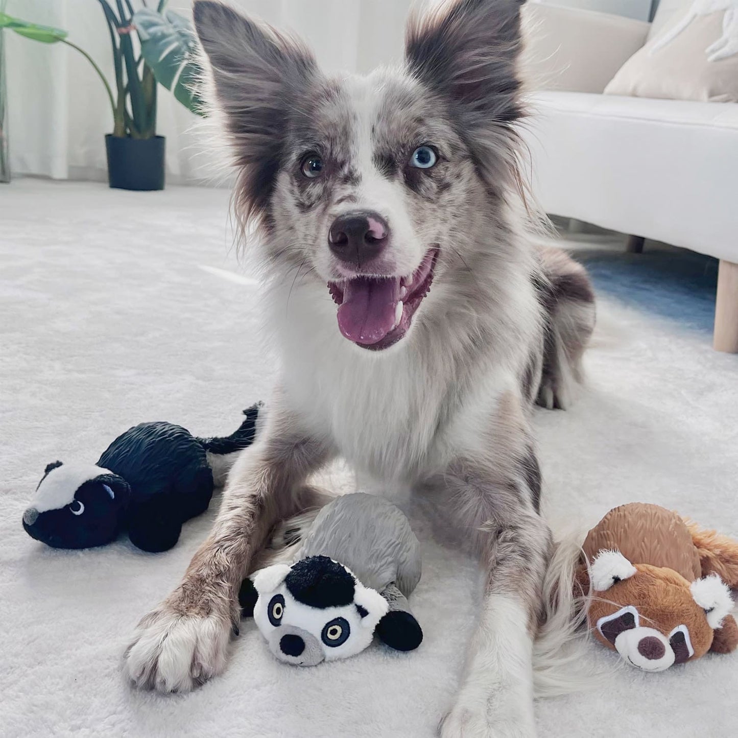 GiGwi Zoomin’ Friends Lemur