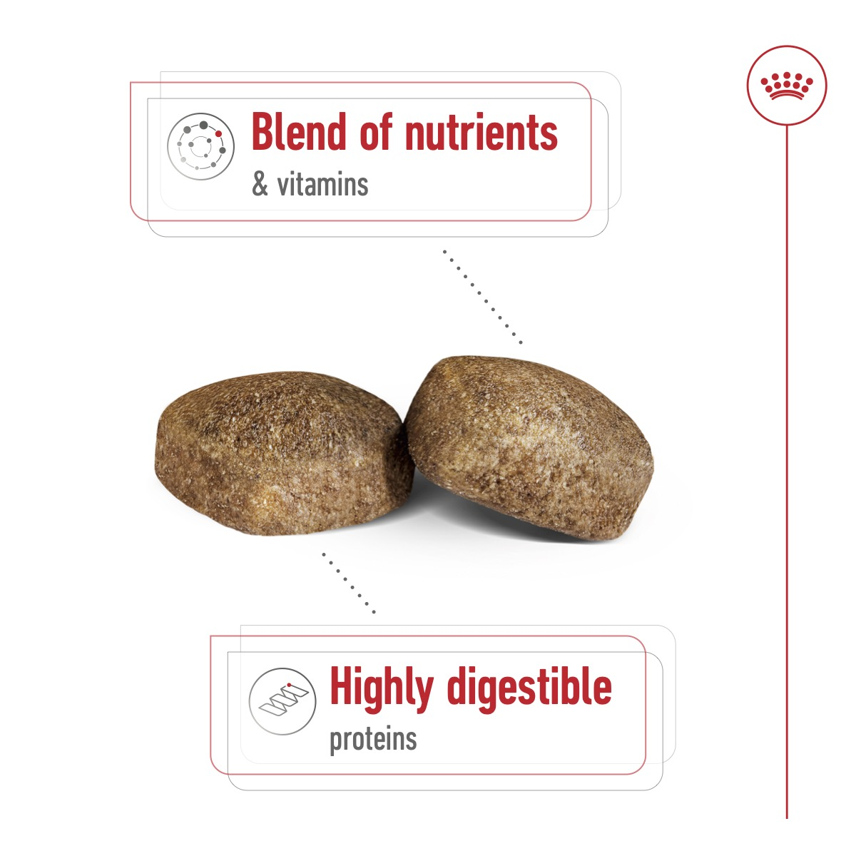 Royal Canin 15 kg Size Health Nutrition Giant Adult