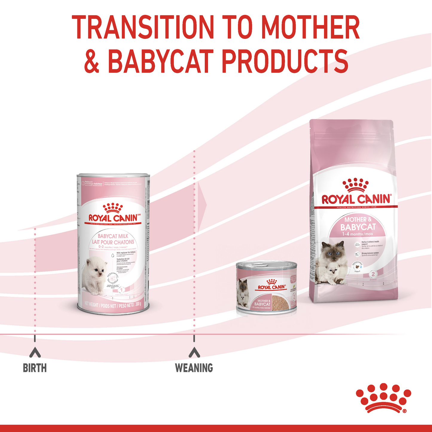 Royal Canin 300 gm Feline Health Nutrition Babycat Milk
