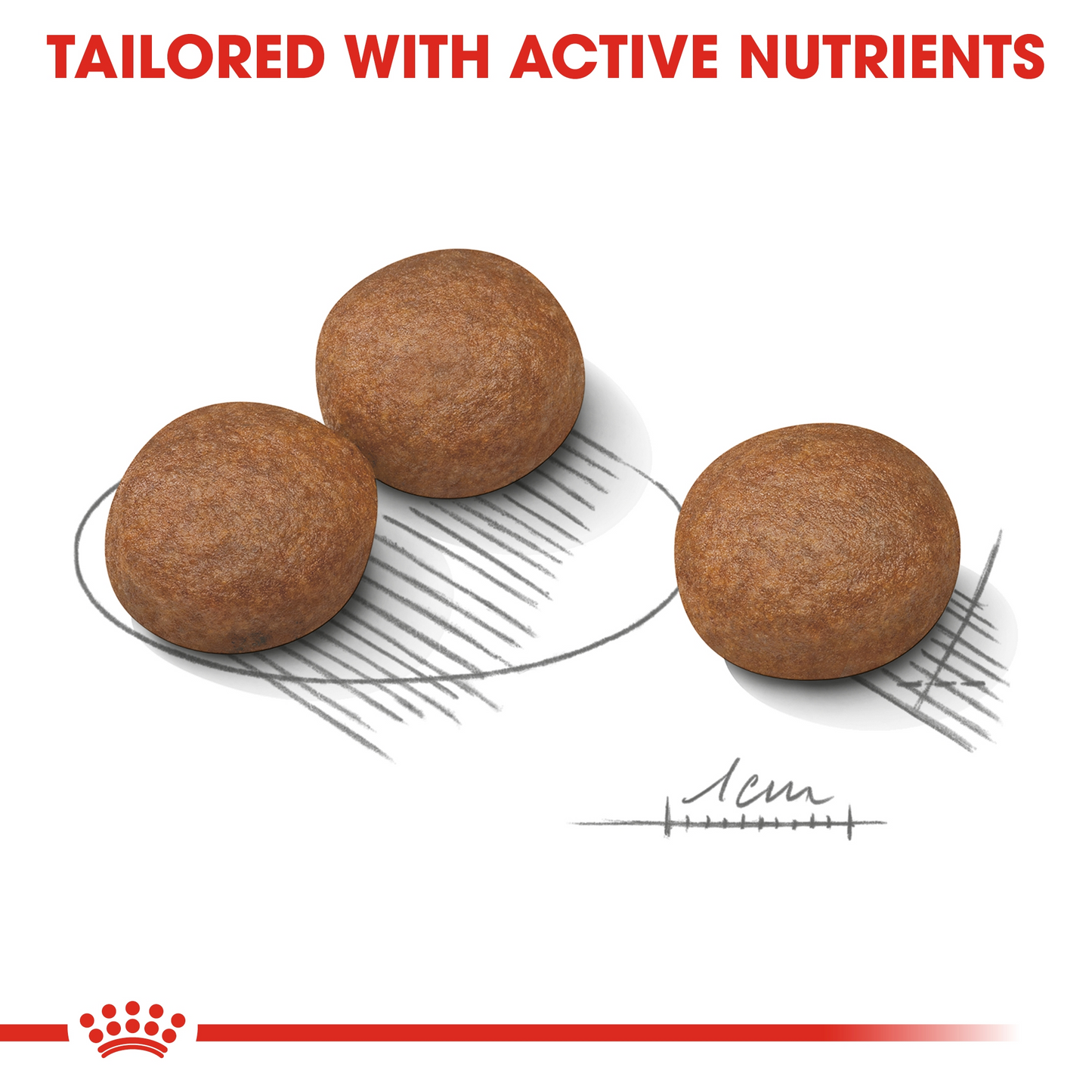 Royal Canin Canine Care Nutrition Medium Digestive Care 12 kg