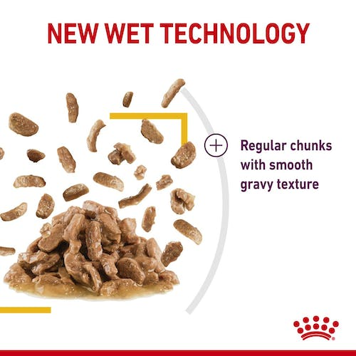 Royal Canin Feline Health Nutrition Sensory Taste Gravy (Wet Food Pouches) 12 x 85 g