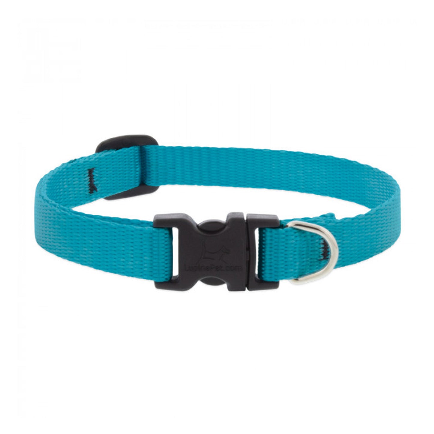 BASICS Adjustable Collar AQUA 1/2" FOR SMALL DOGS - 10"-16"