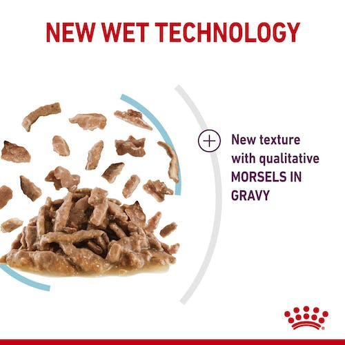 Royal Canin Feline Health Nutrition Sensory Feel Gravy (Wet Food Pouches) 12 x 85 g