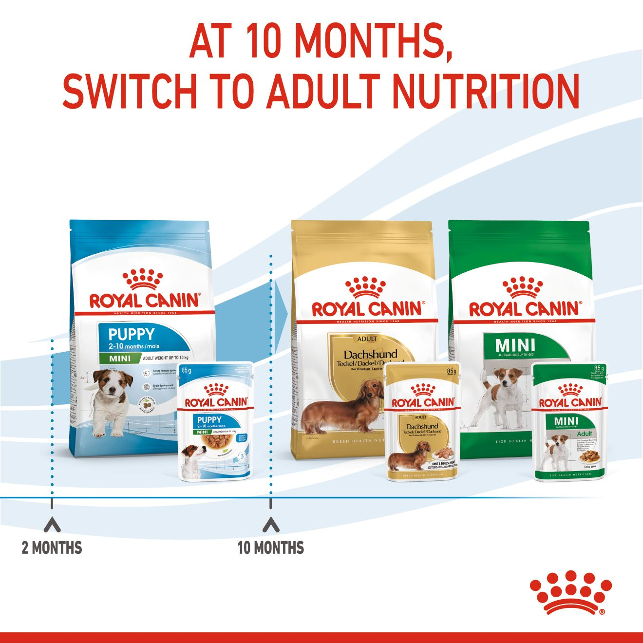Royal Canin 12 x 85 gm Size Health Nutrition Mini Puppy (Wet Food Pouches)