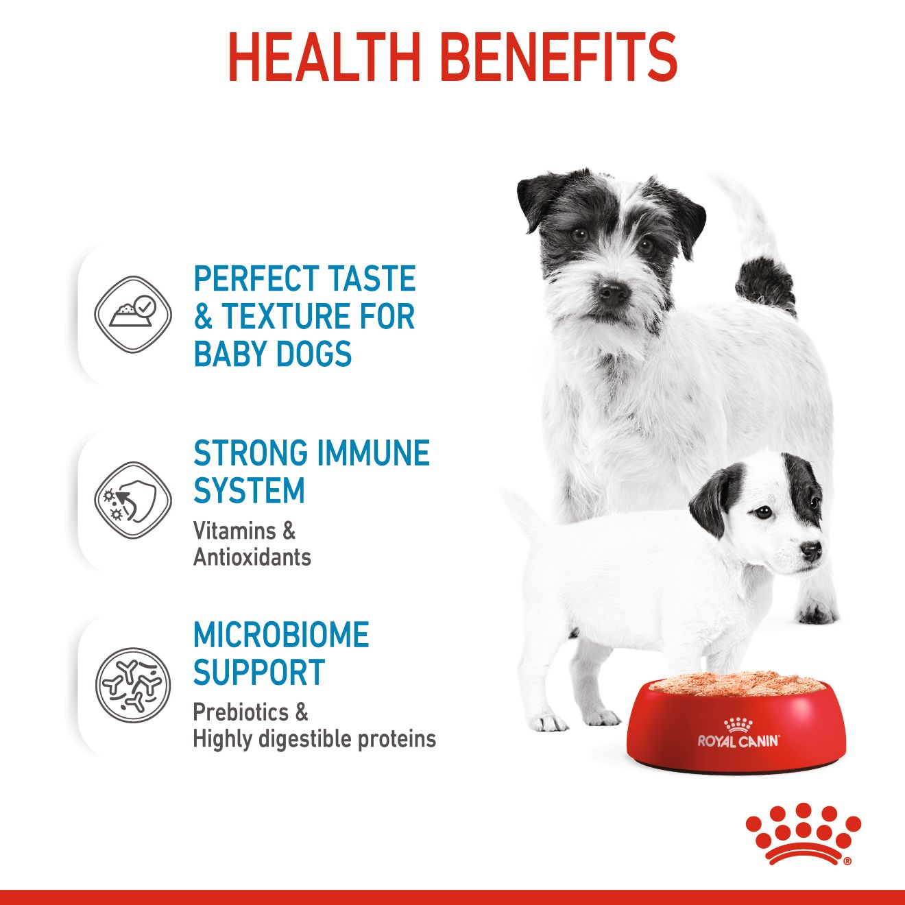 Royal Canin 12 x 195 gm Canine Health Nutrition Starter Mousse (Wet Food Cans)