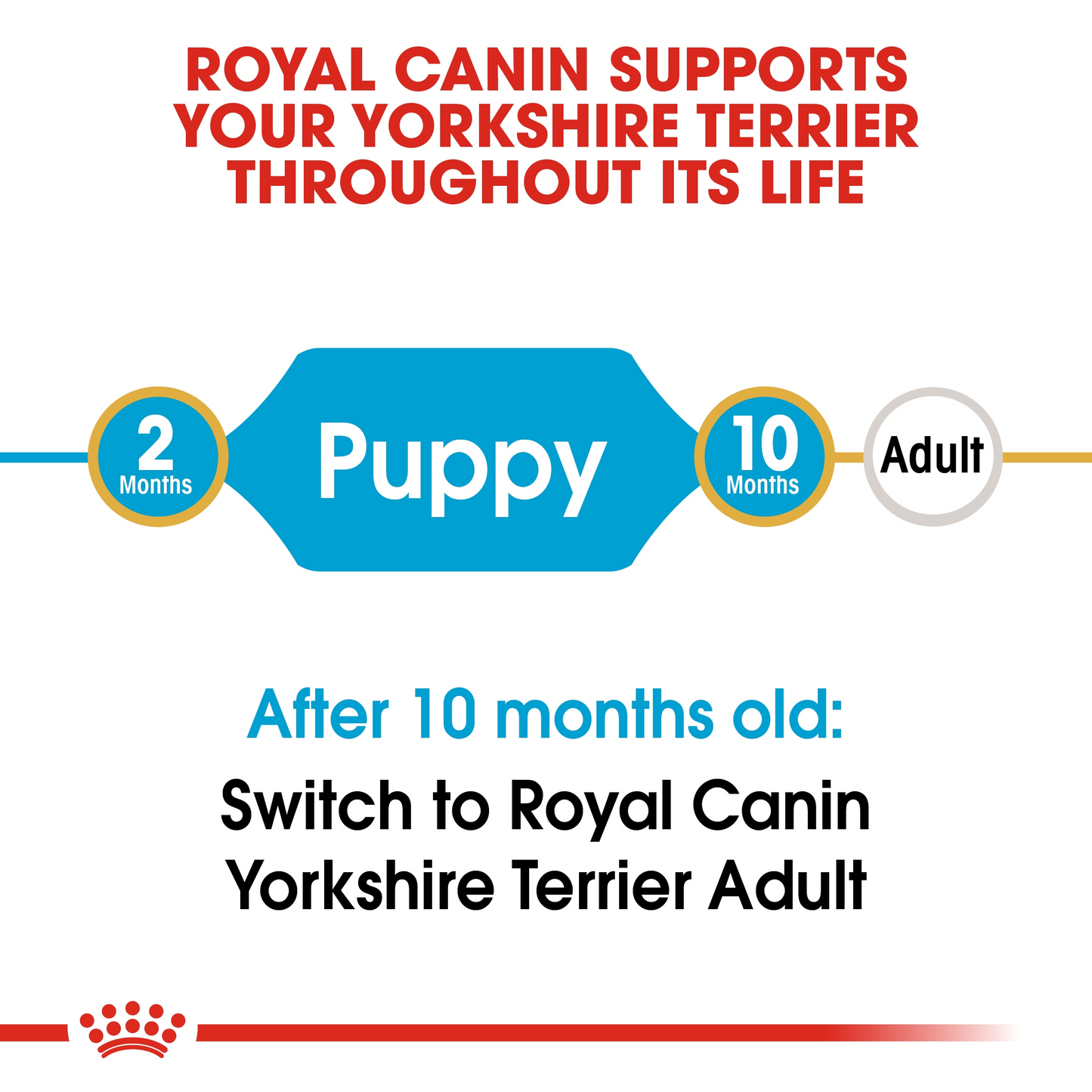 Royal Canin Breed Health Nutrition Yorkshire Puppy 500 g