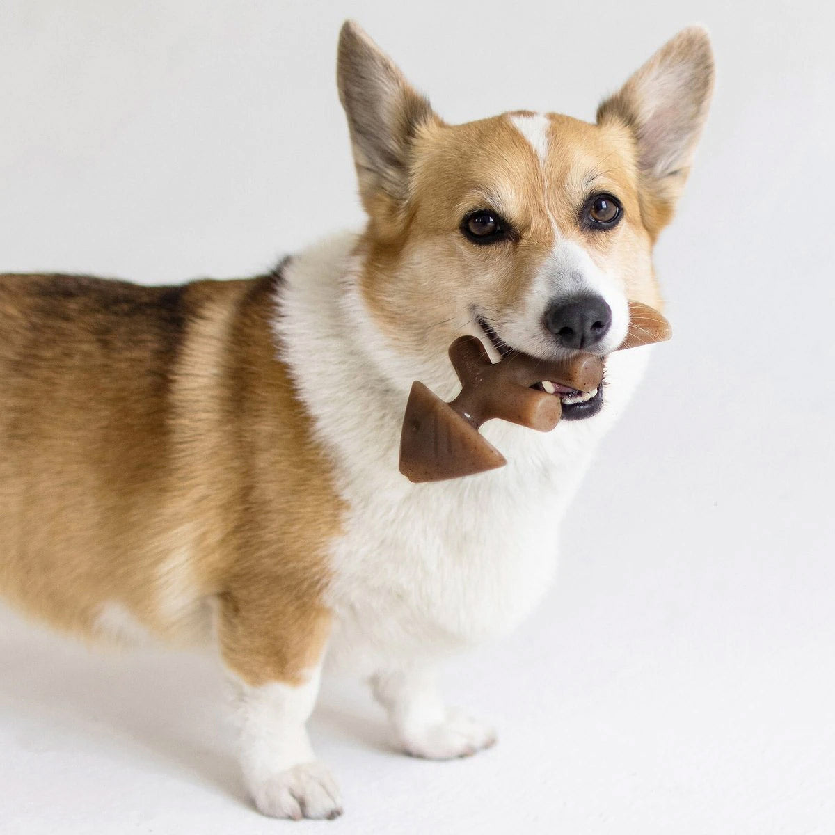 Benebone Fishbone Dog Toy