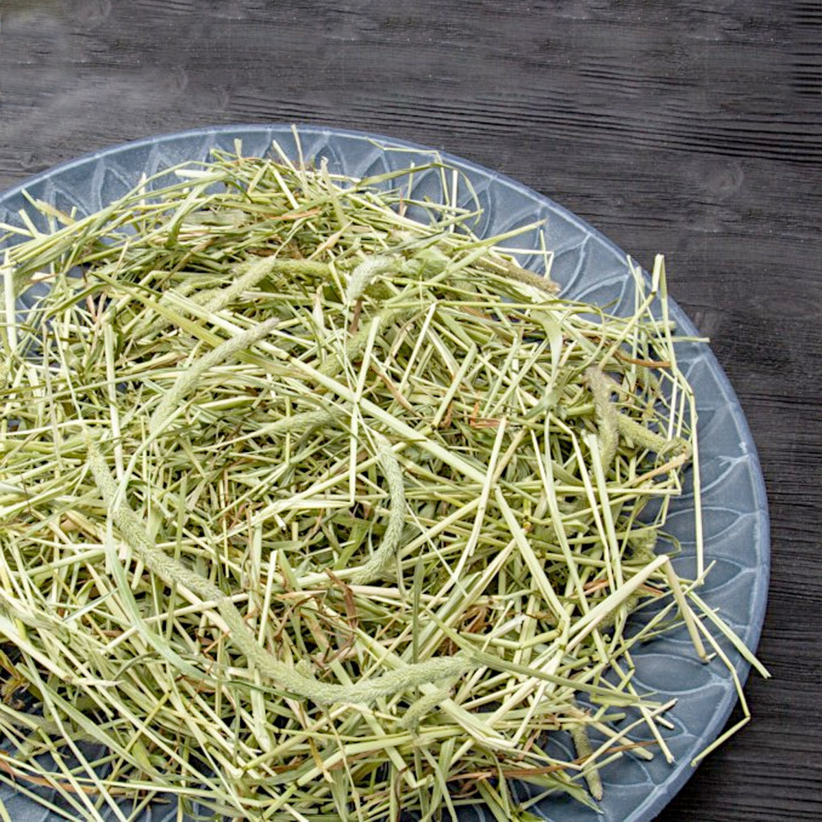 Hay TIMOTHY - THE bunnyNATURE SNACK!