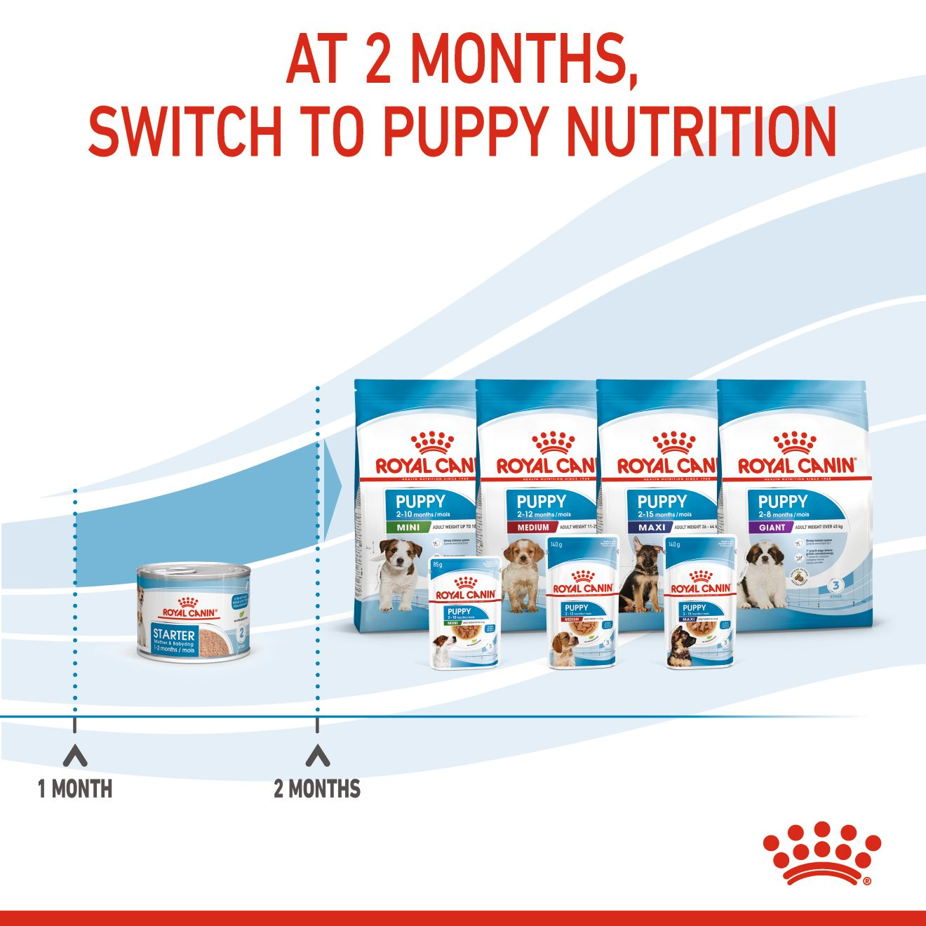 Royal Canin 12 x 195 gm Canine Health Nutrition Starter Mousse (Wet Food Cans)