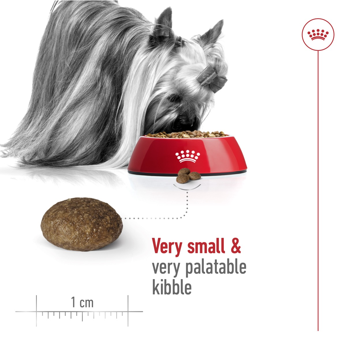 Royal Canin 1.5 kg Size Health Nutrition XS Adult 8+