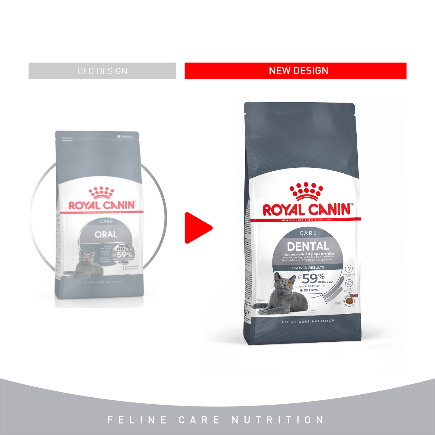 Royal Canin 1.5 kg Feline Care Nutrition Dental Care