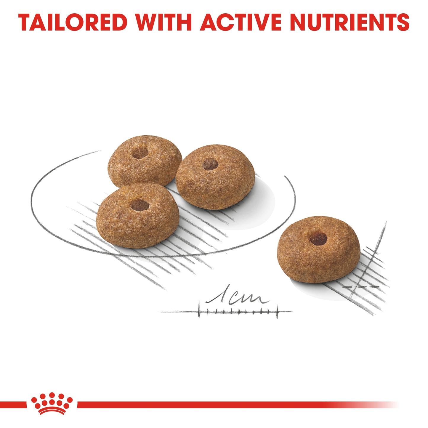 Royal Canin 3 kg Canine Care Nutrition Mini Sterilized Adult