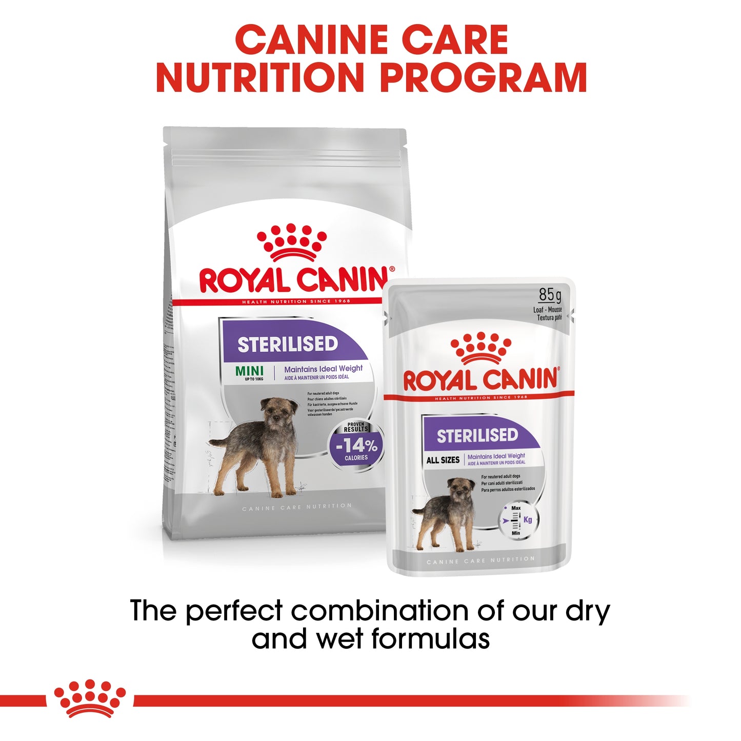 Royal Canin 3 kg Canine Care Nutrition Mini Sterilized Adult