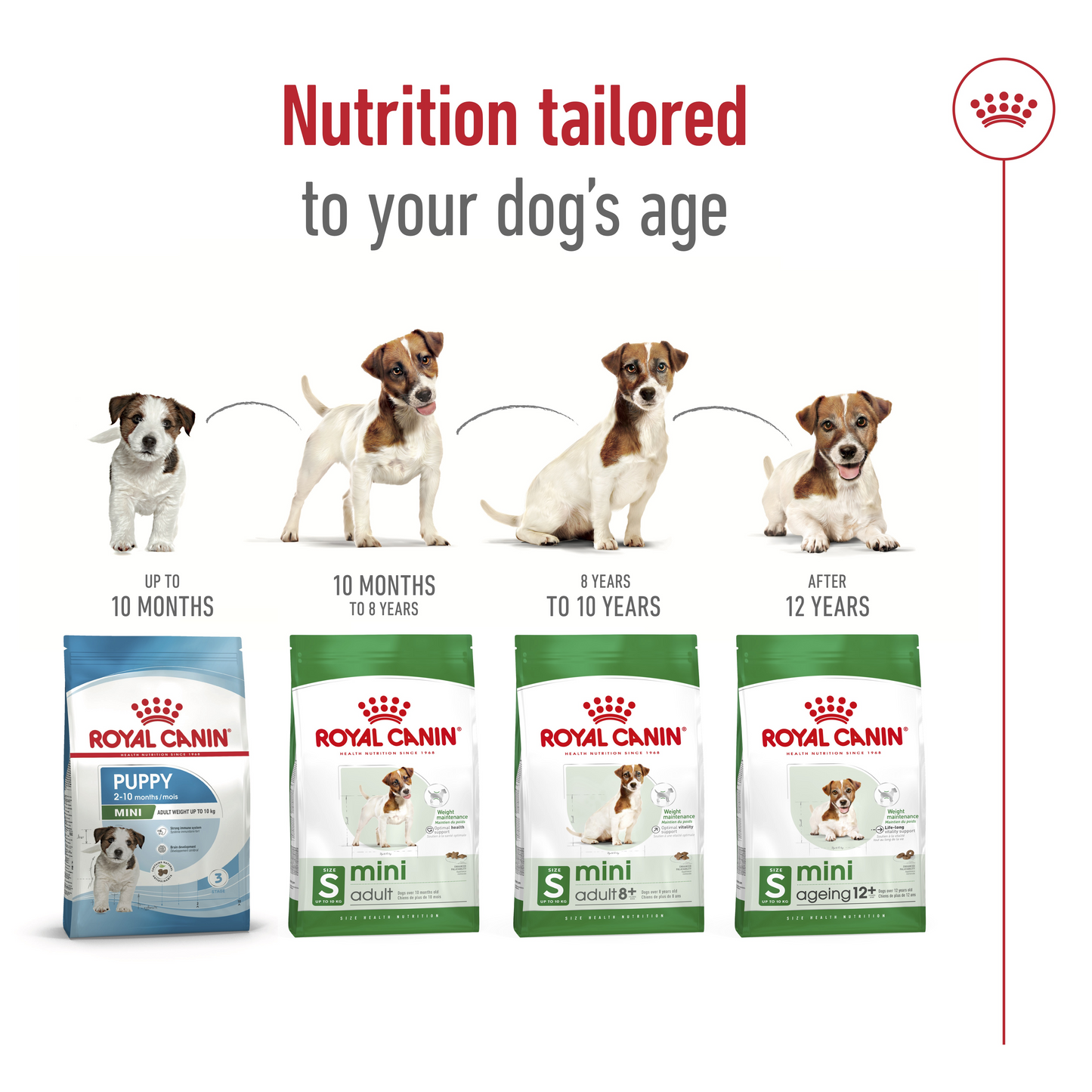 Royal Canin 1.5 kg Size Health Nutrition Mini Ageing 12+