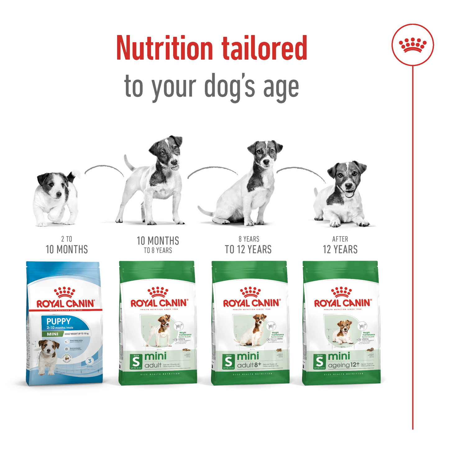 Royal Canin 2 kg Size Health Nutrition Mini Adult 8+