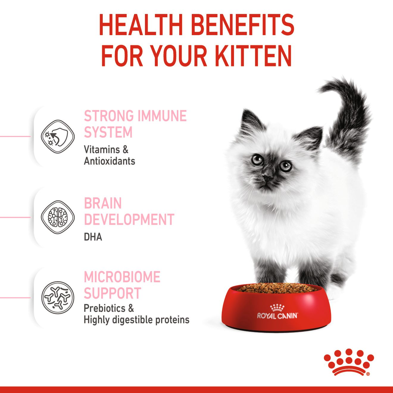 Royal Canin 2 kg Feline Health Nutrition Kitten