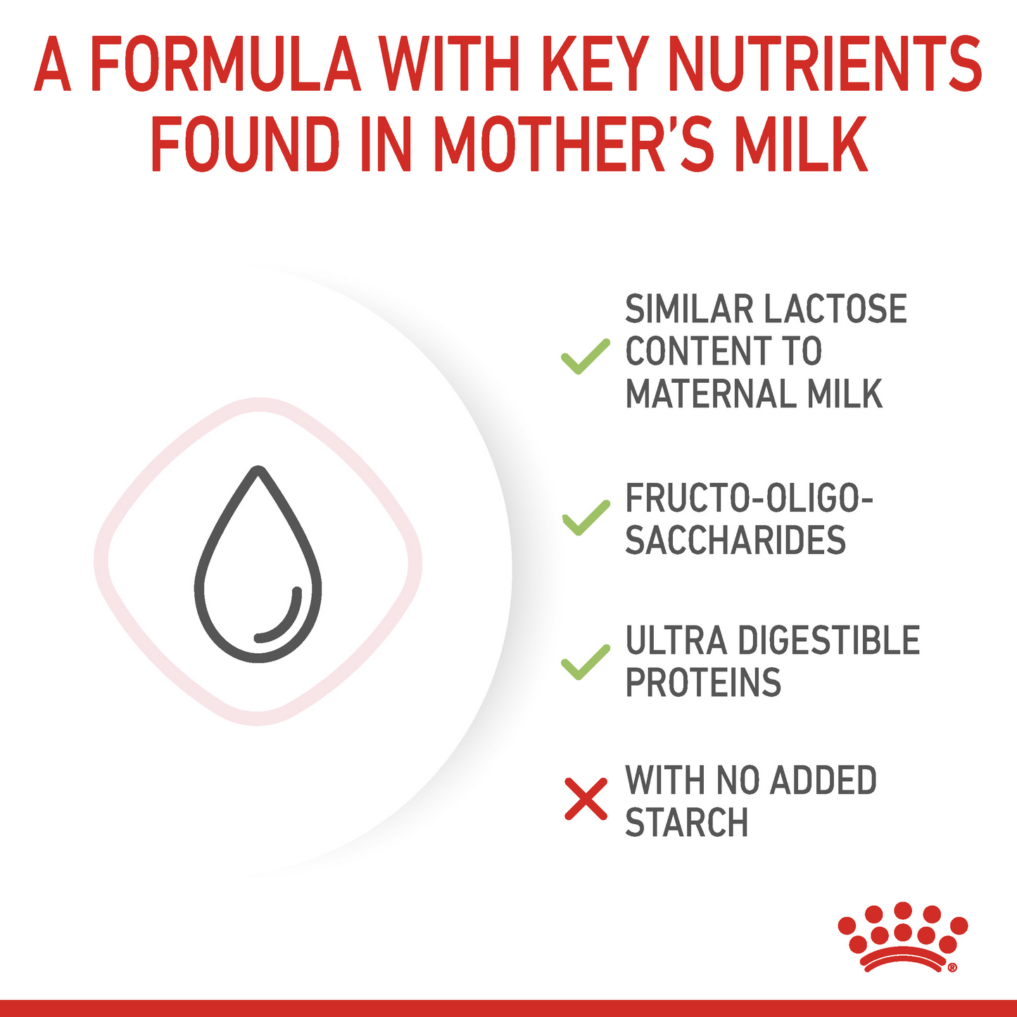 Royal Canin 300 gm Feline Health Nutrition Babycat Milk