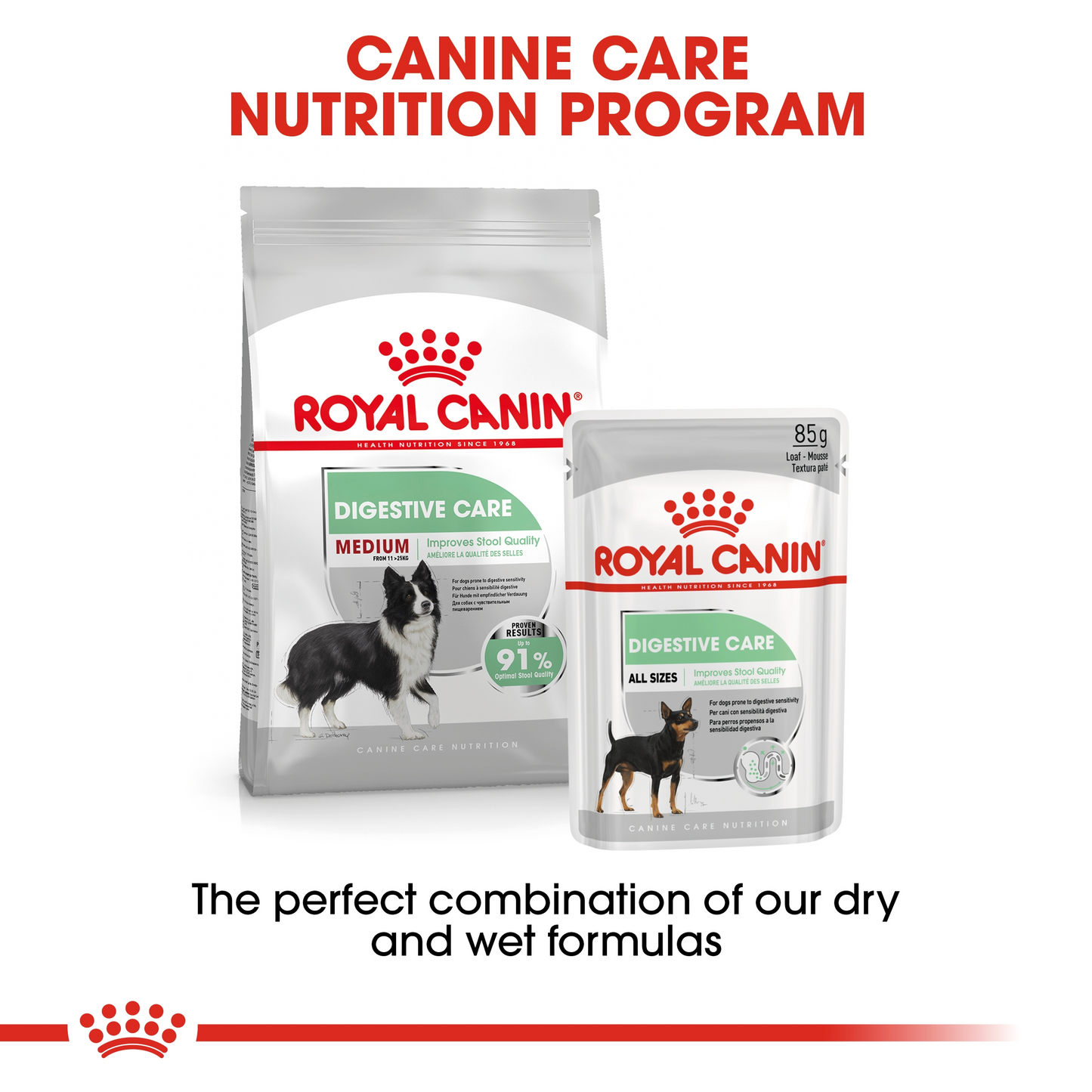 Royal Canin 12 kg Canine Care Nutrition Medium Digestive Care