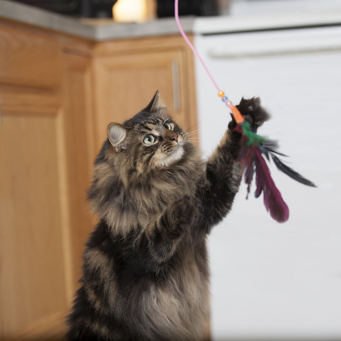 Bergan 18" Fishing Pole Cat Toy