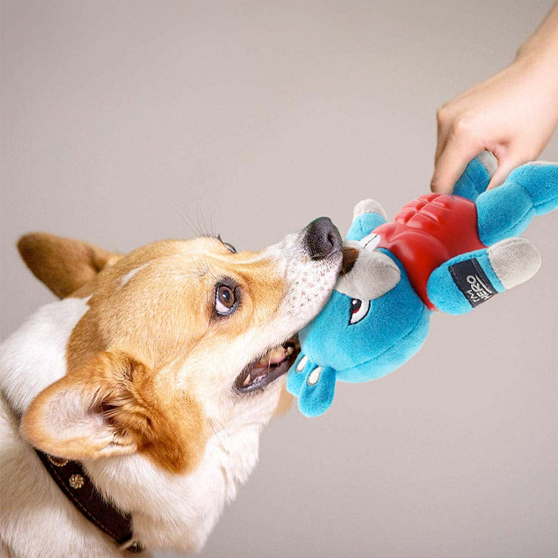 I'm HERO Rabbit with Squeaker