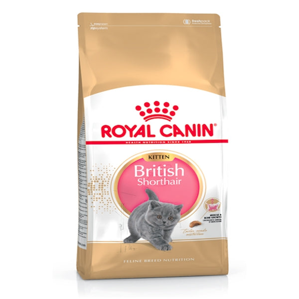 Royal Canin 2 kg Feline Breed Nutrition British Shorthair Kitten