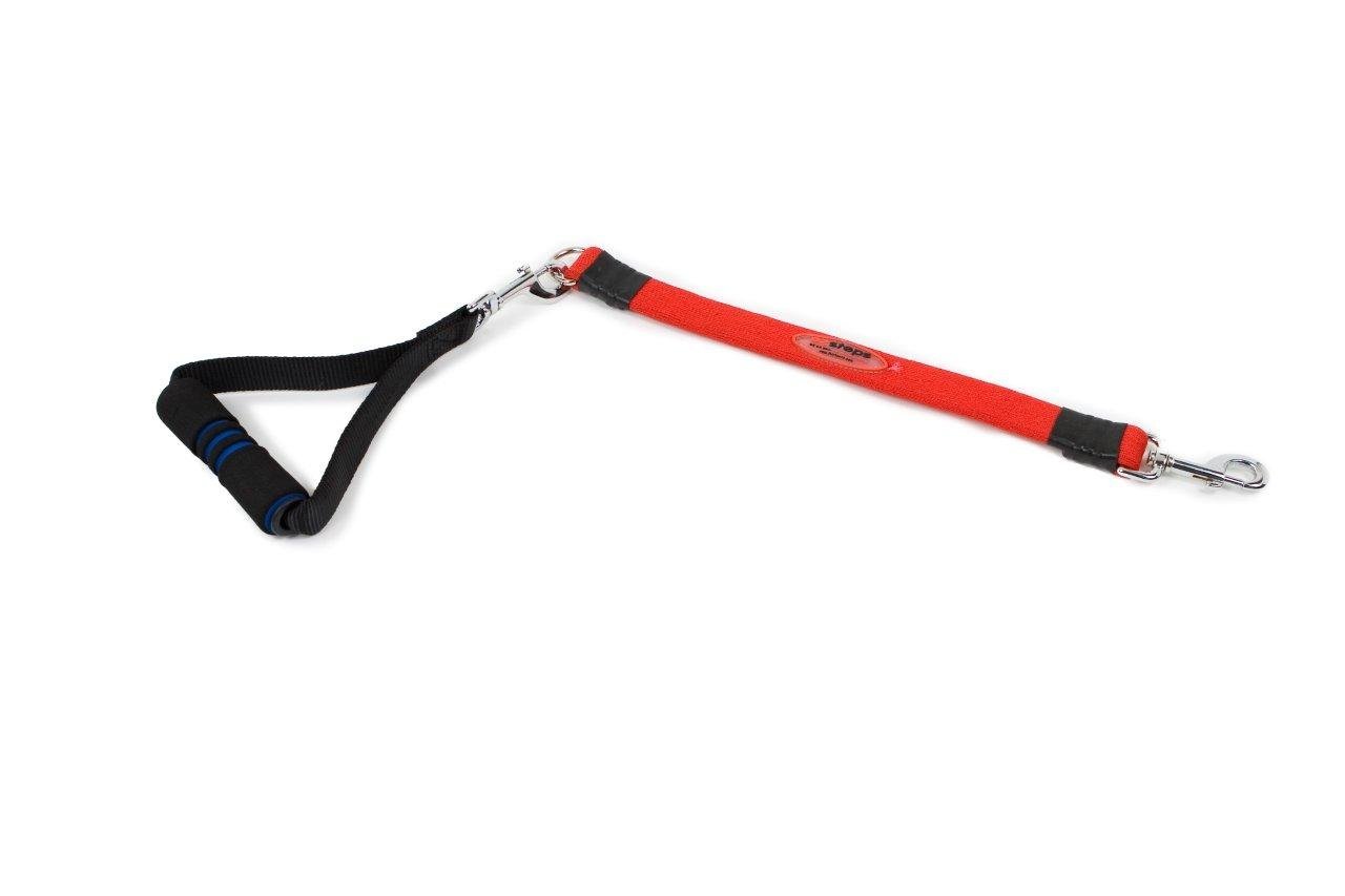 Ez Step Stretch Leash Large