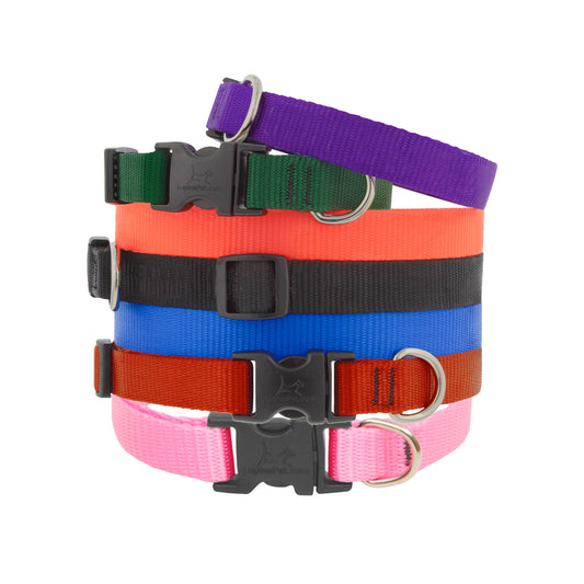 Basic Solids Dog Collar