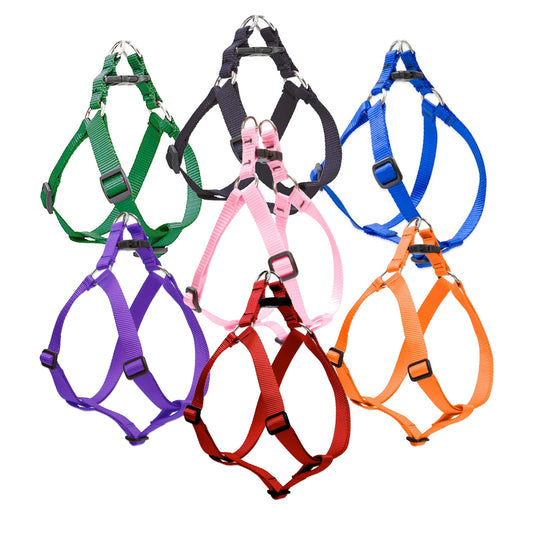 Large Dog Basics Step In Harness 1"