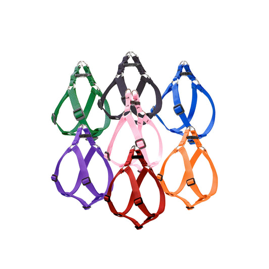 Small Dog Basics Step In Harness 1/2"