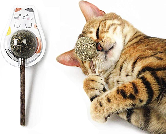 Organic Catnip Sticks - Set of 5 pcs All-Natural High-Performance Chew Toys for Cats