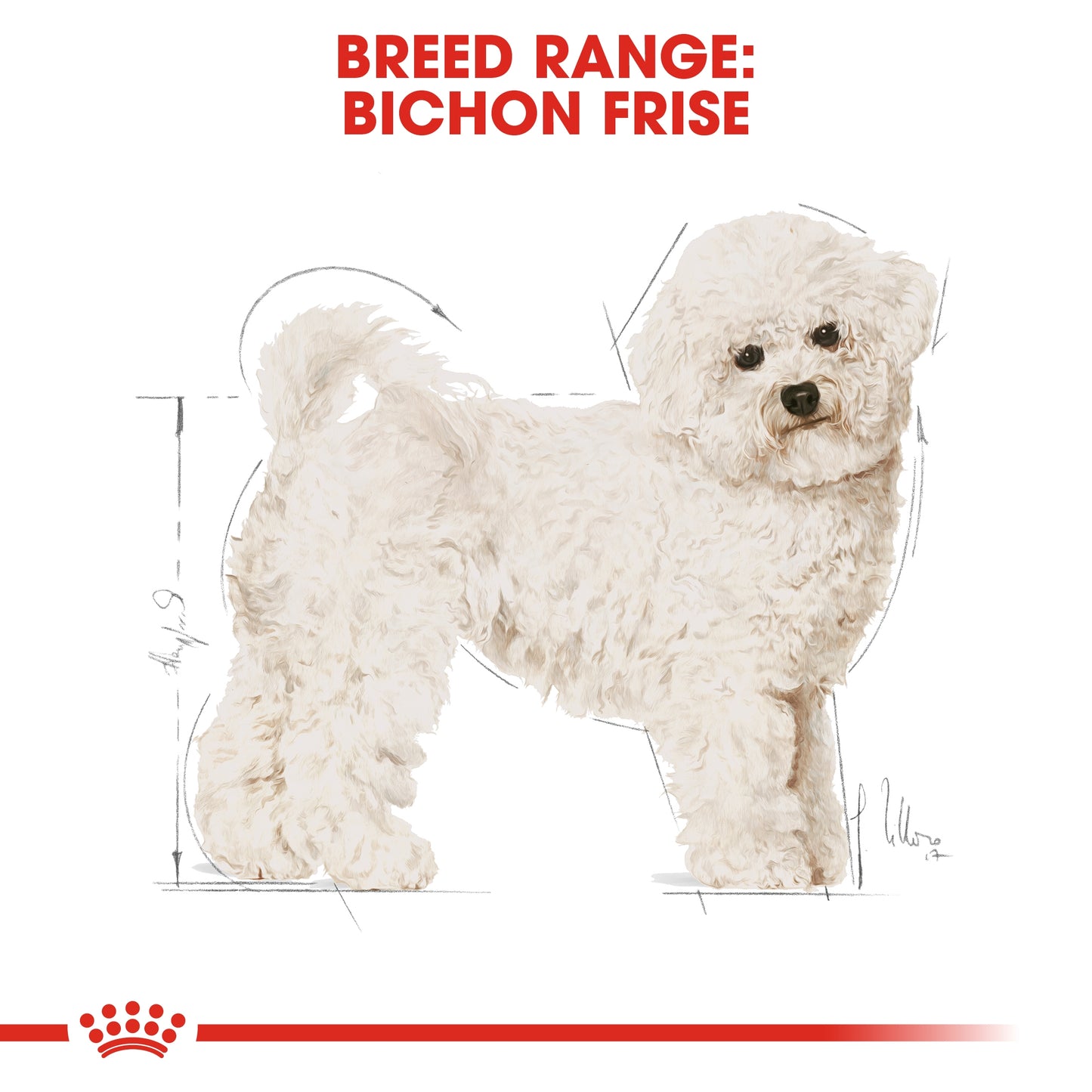 Royal Canin 1.5 kg Breed Health Nutrition Bichon Frise Adult