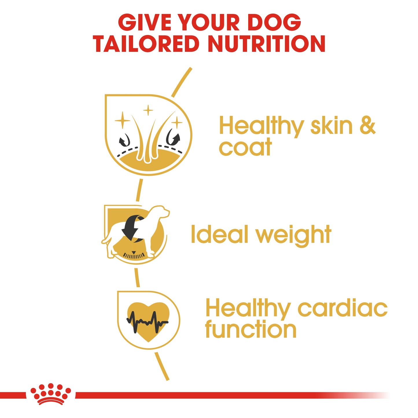 Royal Canin 3 kg Breed Health Nutrition Cocker Adult