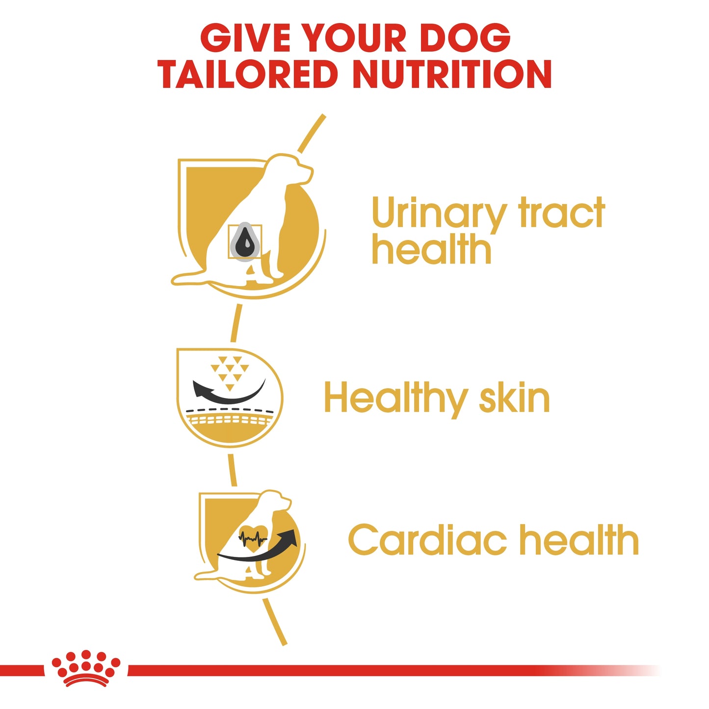 Royal Canin 12 kg Breed Health Nutrition Dalmatian Adult
