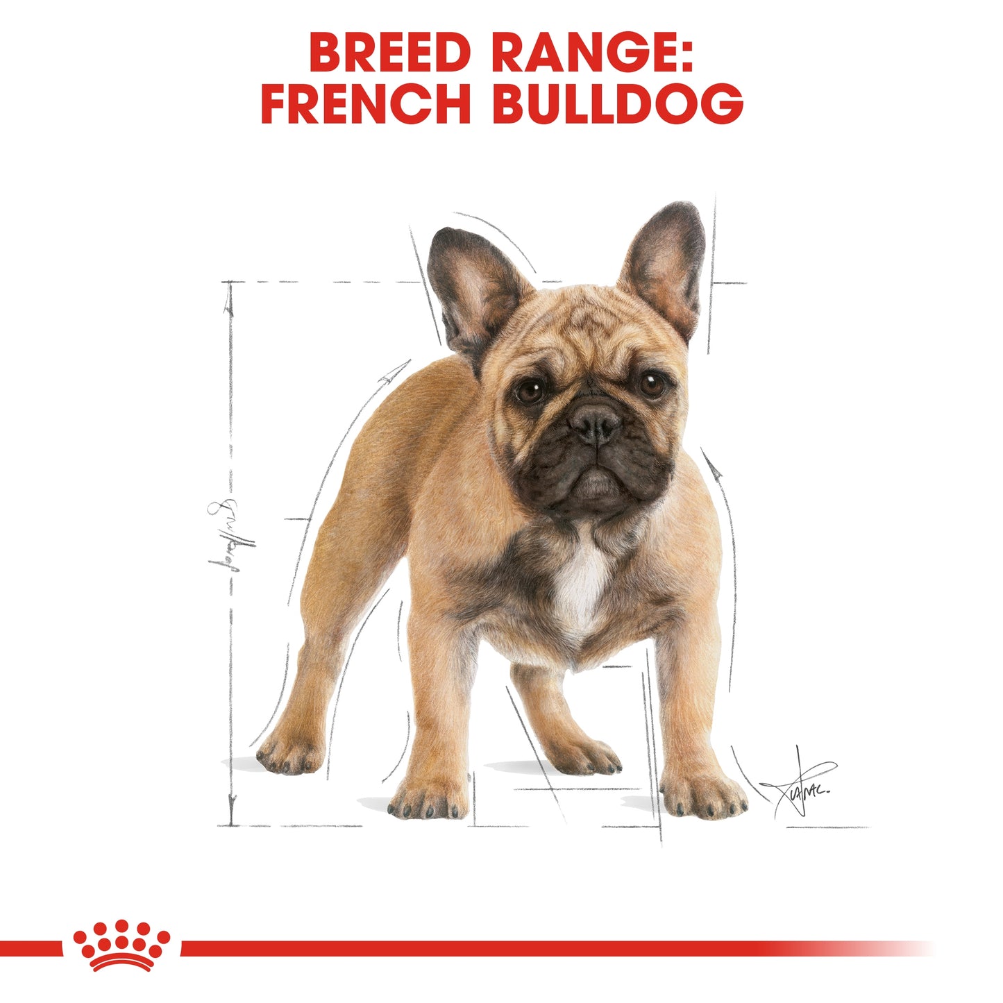 Royal Canin 3 kg Breed Health Nutrition French Bulldog Adult