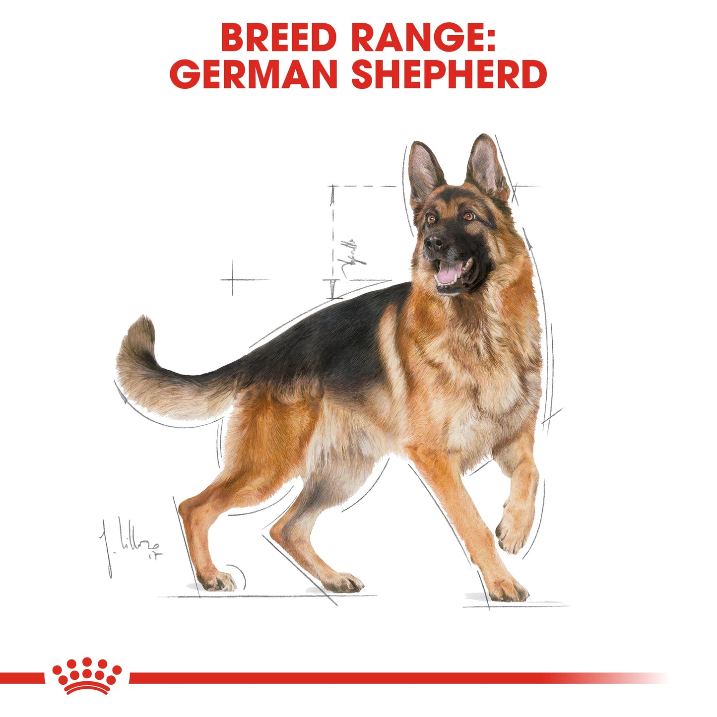 Royal Canin 3 kg Breed Health Nutrition German Shepherd Adult