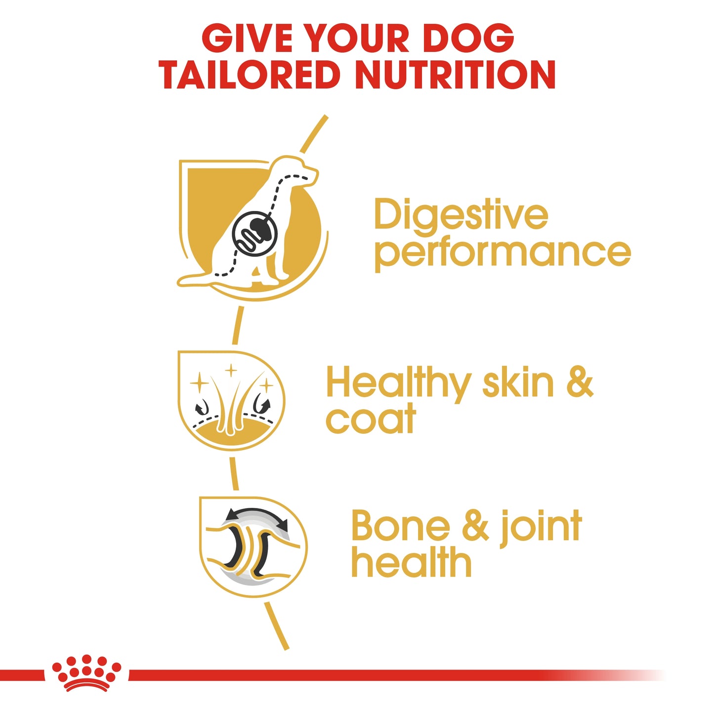 Royal Canin Breed Health Nutrition German Shepherd Adult 3 kg