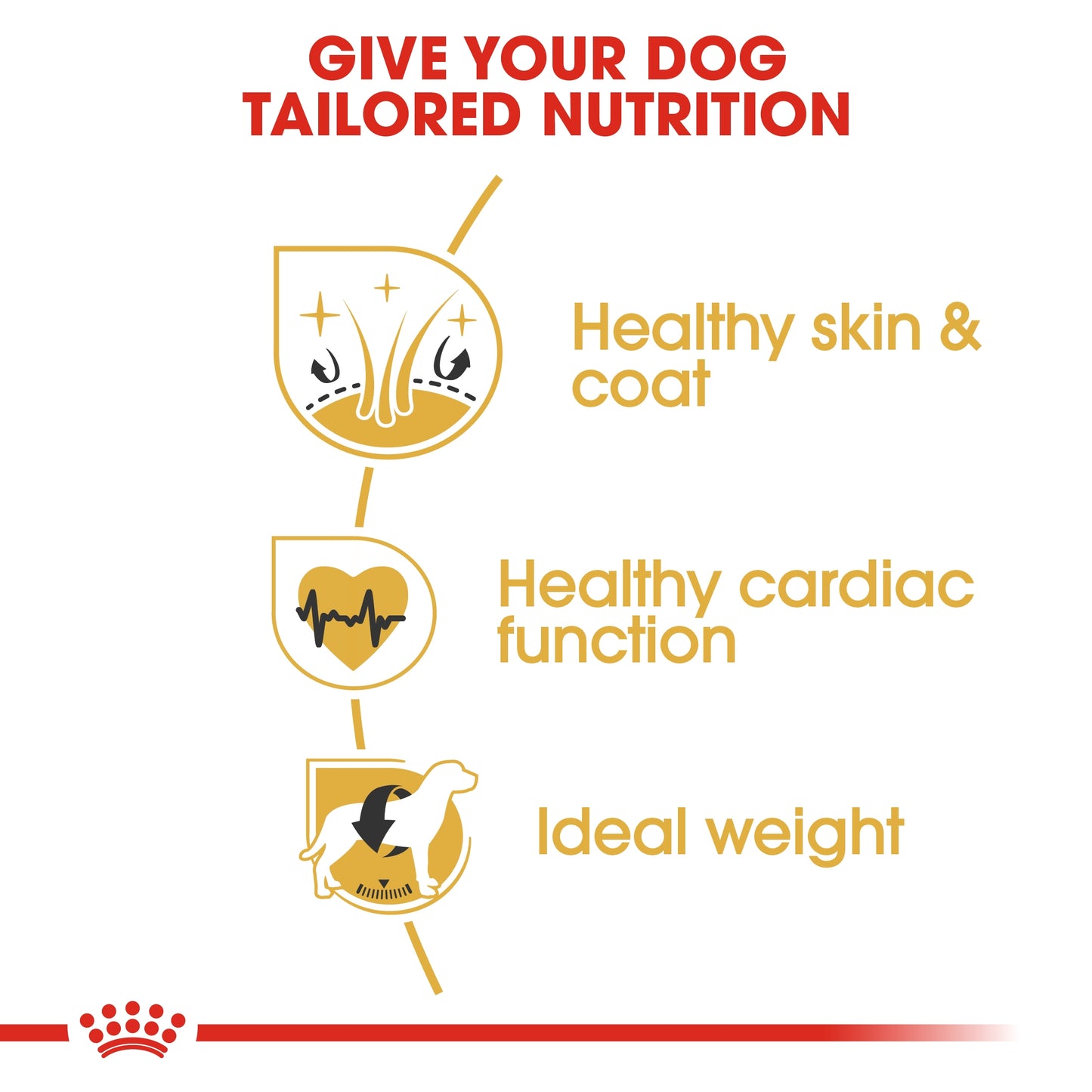 Royal Canin 12 kg Breed Health Nutrition Golden Retriever Adult