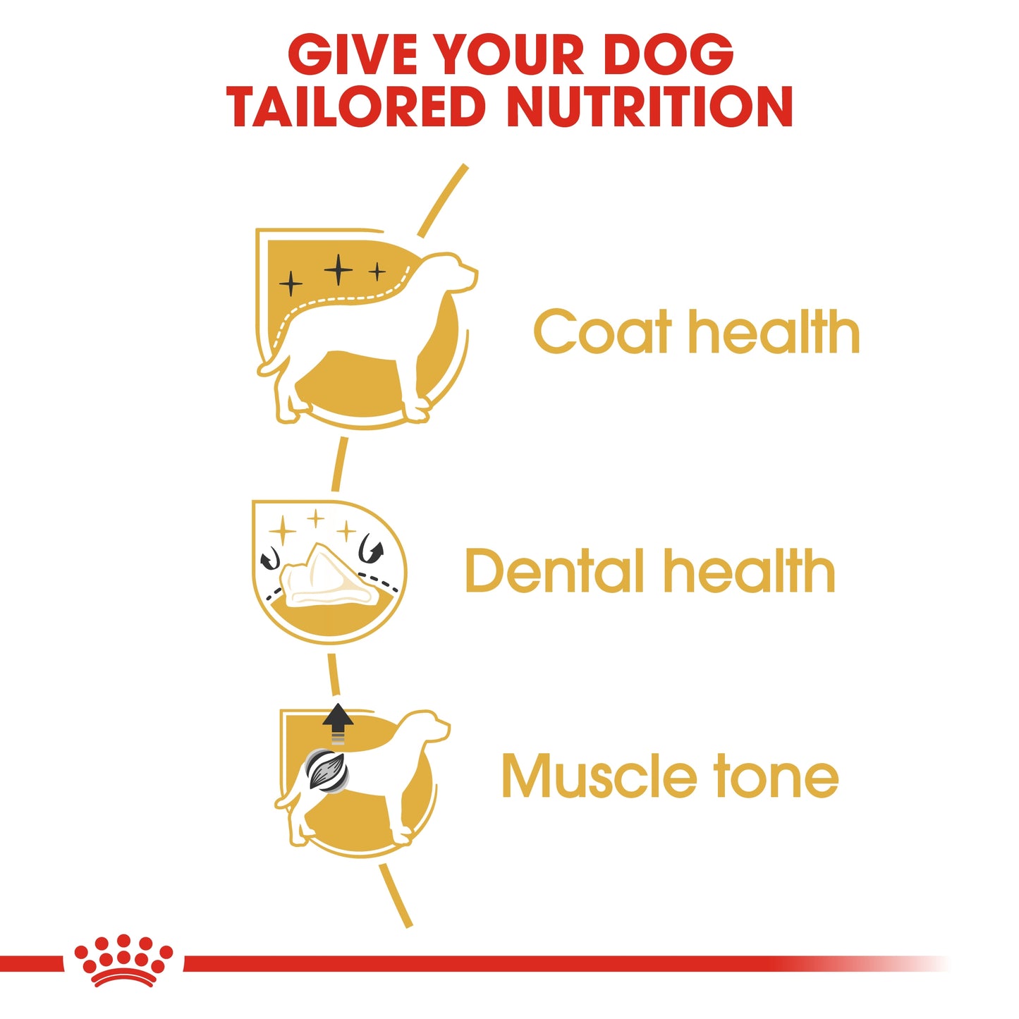 Royal Canin 1.5 kg Breed Health Nutrition Poodle Adult