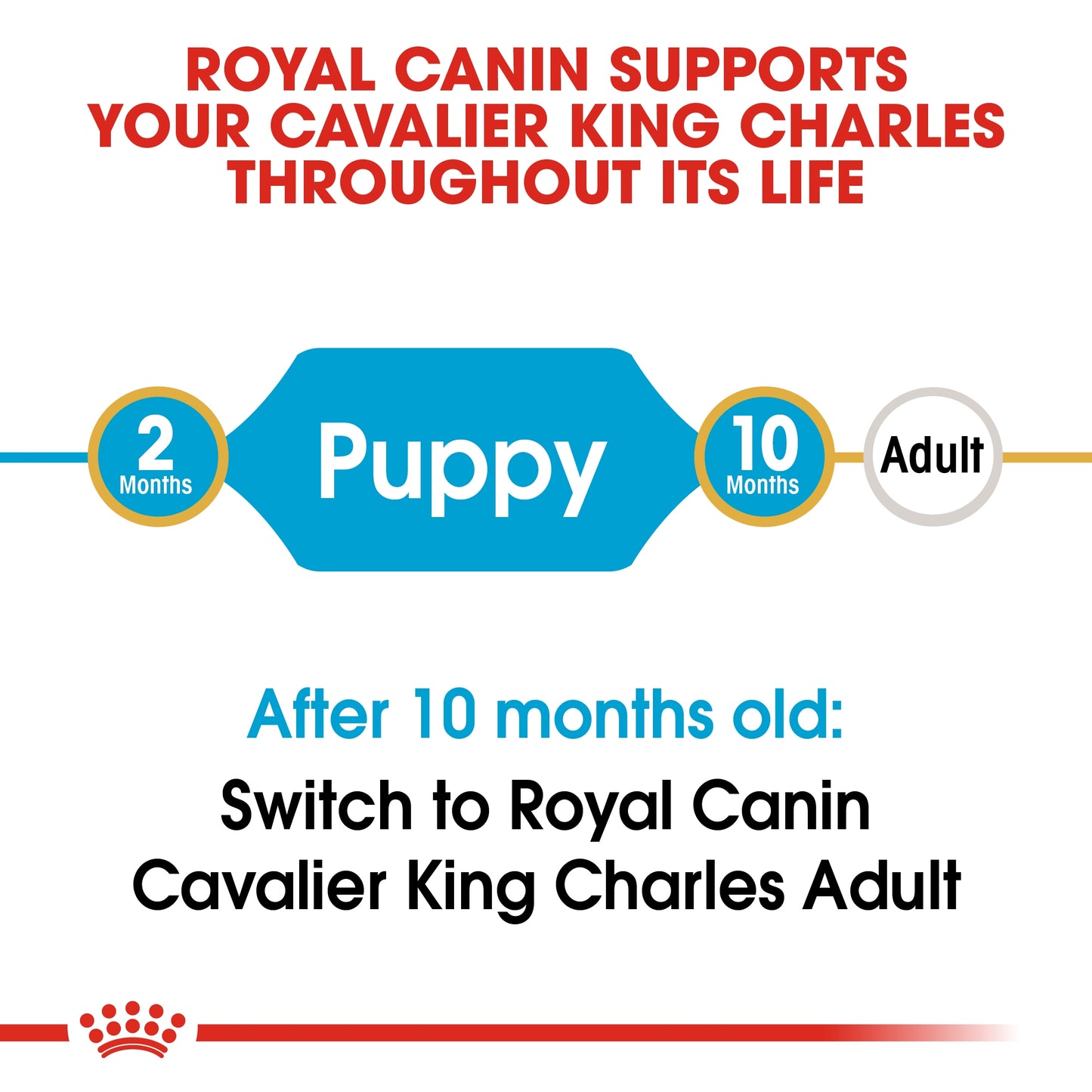 Royal Canin Breed Health Nutrition Cavalier King Charles Puppy 1.5 kg