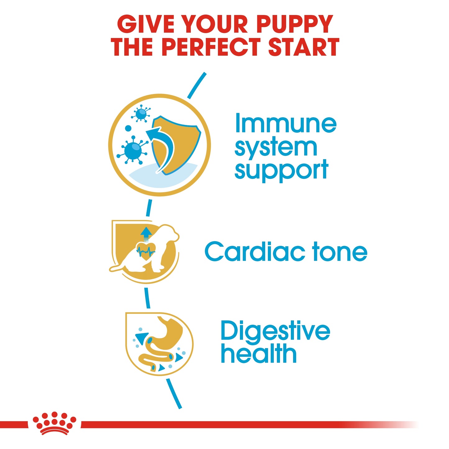 Royal Canin 1.5 kg Breed Health Nutrition Cavalier King Charles Puppy
