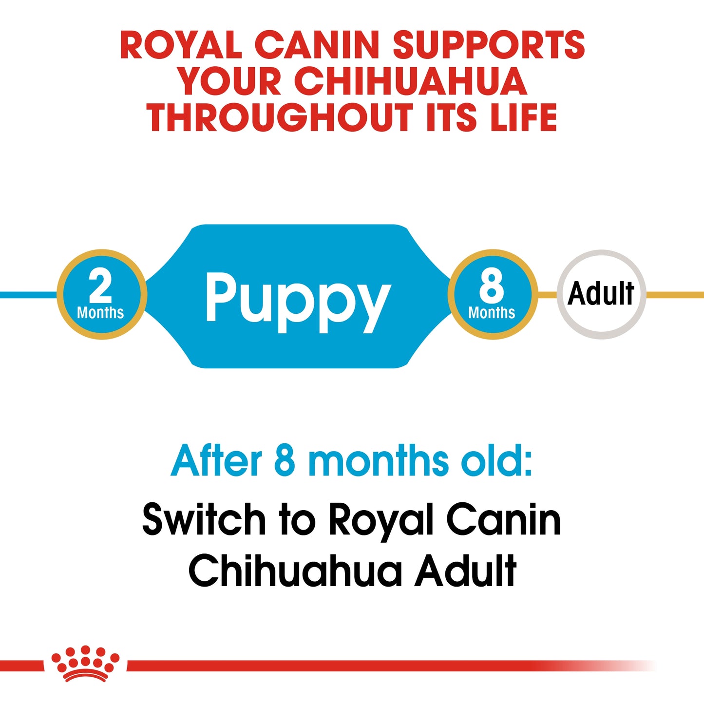Royal Canin 1.5 kg Breed Health Nutrition Chihuahua Puppy