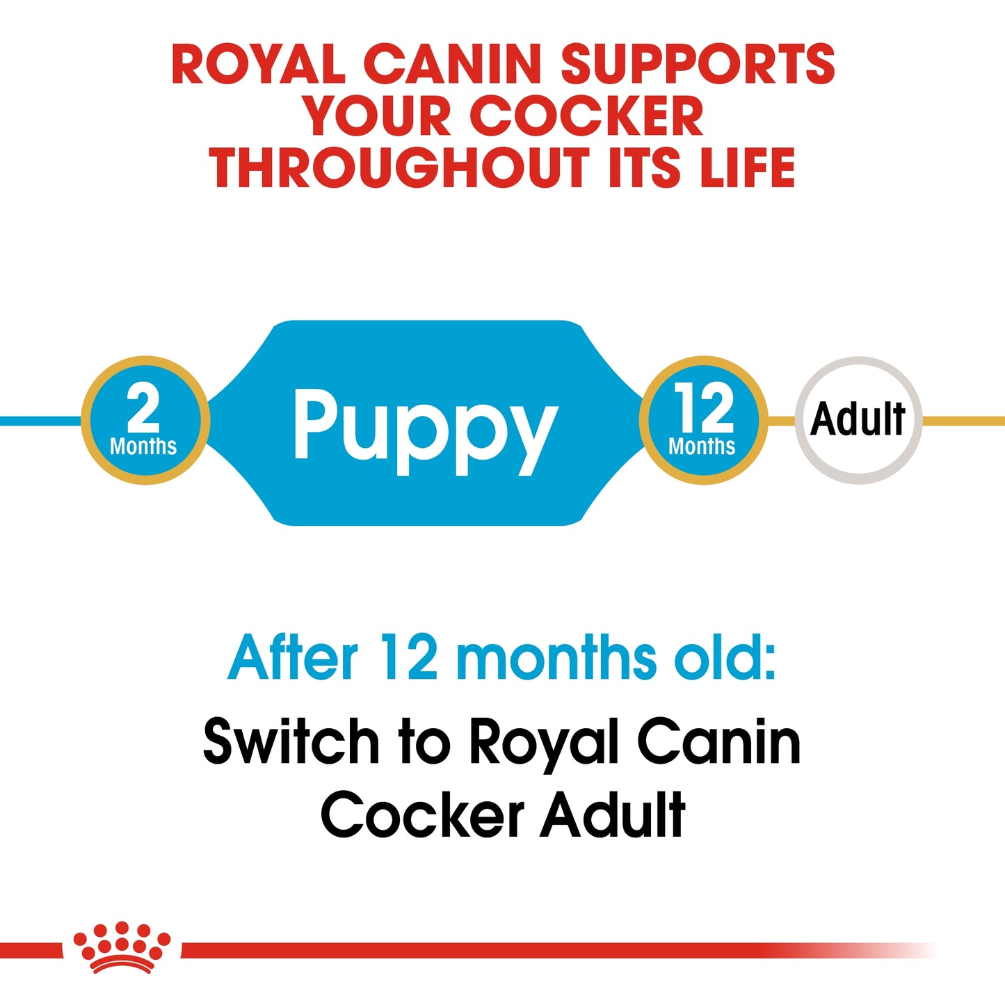 Royal Canin 3 kg Breed Health Nutrition Cocker Puppy