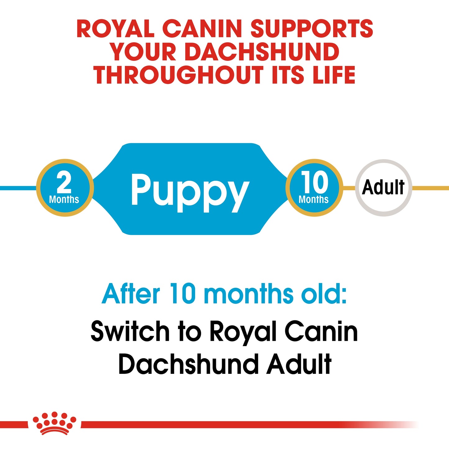 Royal Canin 1.5 kg Breed Health Nutrition Dachshund Puppy