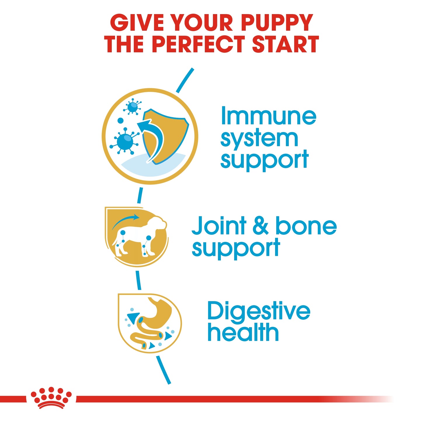 Royal Canin Breed Health Nutrition Dachshund Puppy 1.5 kg