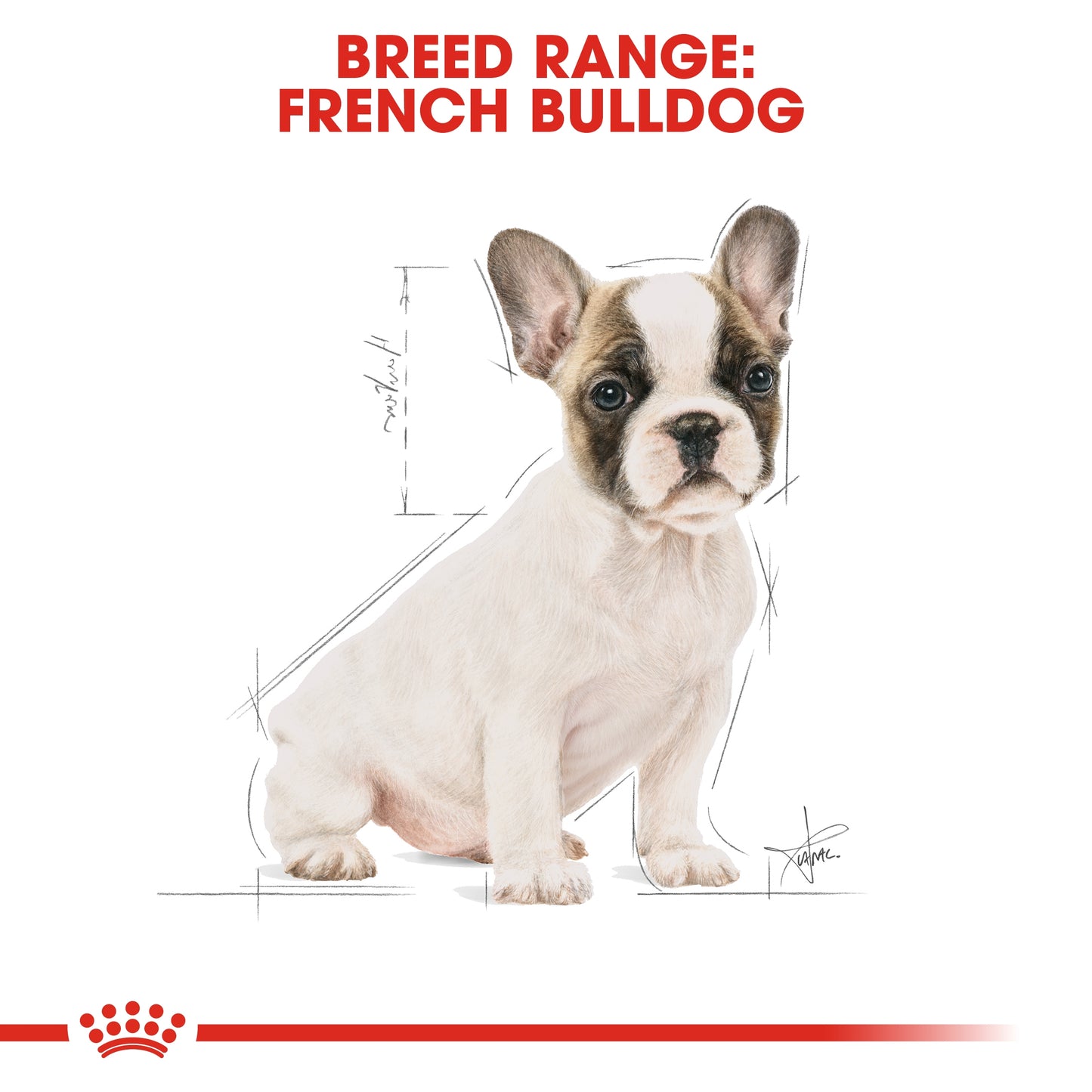 Royal Canin 3 kg Breed Health Nutrition French Bulldog Puppy