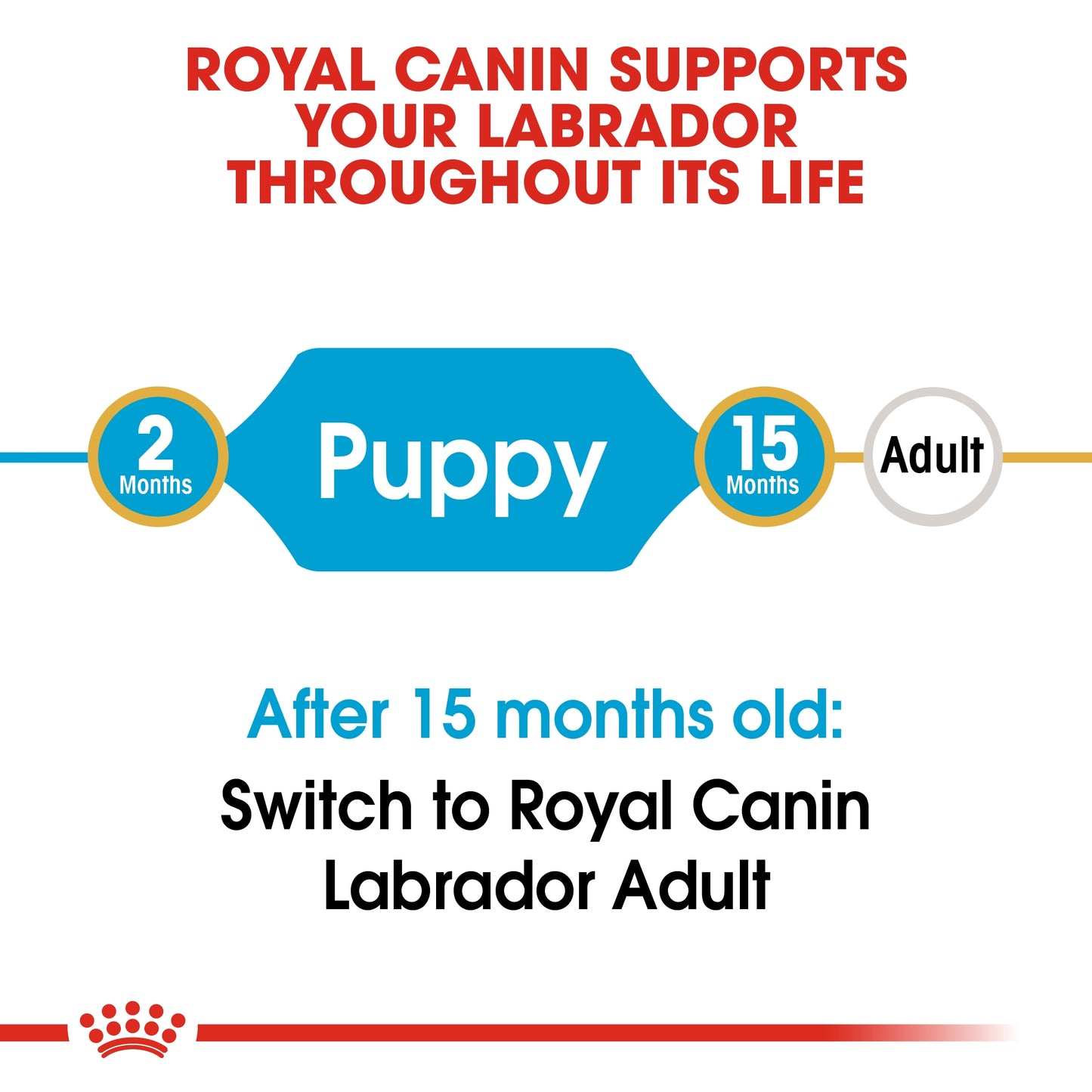 Royal Canin Breed Health Nutrition Labrador Puppy 3 kg