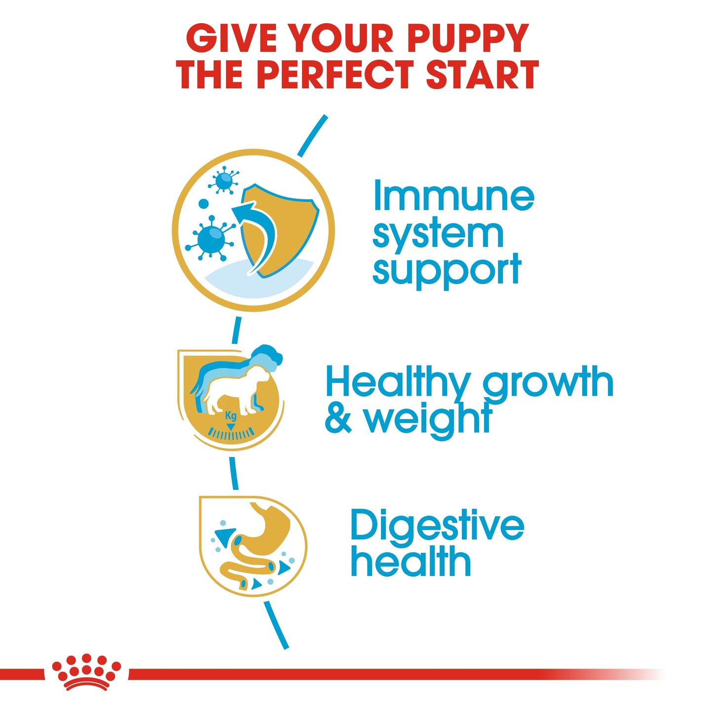 Royal Canin 3 kg Breed Health Nutrition Labrador Puppy